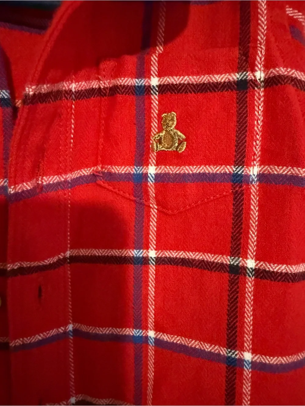 GAP Red Plaid Button-Down Shirt with Navy Trim -Never Worn